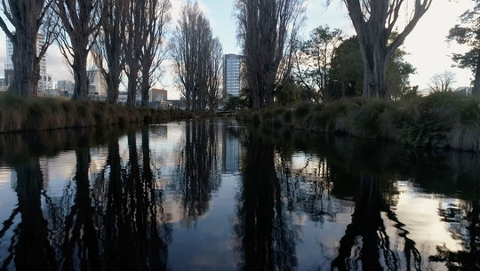 Avon/Ōtākaro - how is our river doing?